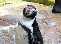 Expedice Zoo Lešná