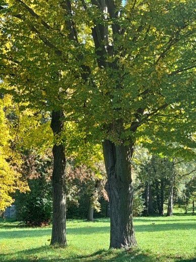 _20241012_135957.jpg