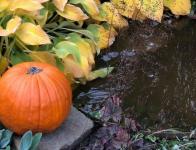 Podzim, foto: Anna Marie Málková